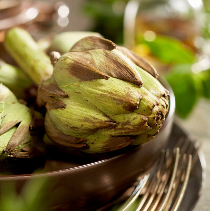 Kronartiskokke-Cynara Artichoke 2-pakning